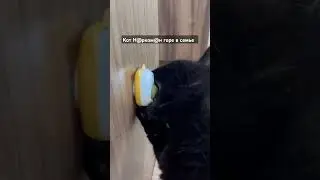 У меня нет никакой зависимости🐈‍⬛
