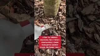 Сними тягу к пьянству | Белая магия 