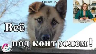Все под контролем?! А что же под контролем?