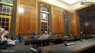 Corporate Committee - 13/03/2024
