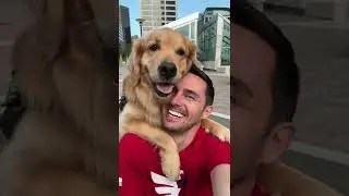 My dog loves selfies! 