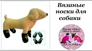 20. Вязанные носки для собаки