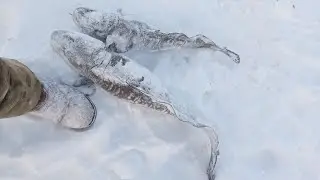 Рыбалка на крупных налимов! 21.01.2024.