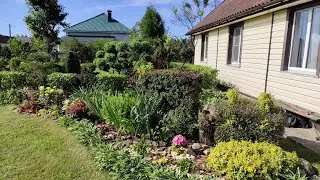 Делаю свой сад не только красивым, но и лёгким в уходе.💮🌹🌺Повторяйте за мной!