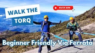 Walk the Torq: A Beginner-friendly Via Ferrata on Mount Kinabalu!