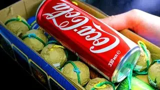 FIREWORKS VS COCA COLA