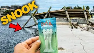 This is How I Fish With Artificial Shrimp! Bite Was on 🔥 Post Hurricane Helene Fishing