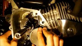 Honda 6.5 HP Clone How to Install Camshaft/Timing