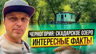 Montenegro Lake Skadar: Fishing village, excursion and interesting facts.