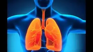 Chicago mesothelioma lawyer