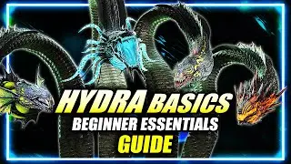 HYDRA GUIDE How It ALL Works - Basics, Essentials & Beginner Tips ft. 