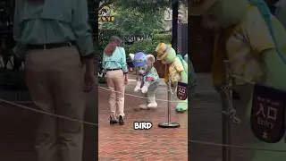 Turtle & Cat HUNT this Cute Bird! FUNNY Disney Characters 