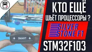 Не обновляется SilverStone F1 Sochi Z, прошивка STM32 | SERVICEMAN