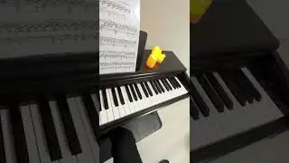 Каково это чувство - играть на пианино?😍