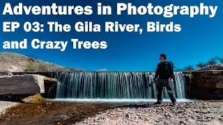 Adventures In Photography Ep 03: The Gila River, Sneaky Birds, & Crazy Trees!