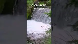 Старец Паисий о смысле жизни.
