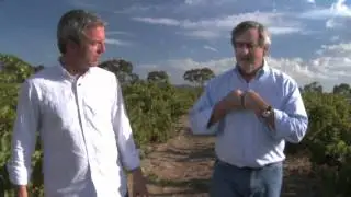 Wine Sense TV - Grenache: Food Pairing with the Grill*
