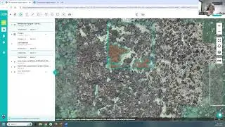 Collaborative coral bleaching mapping with drones and geospatial tech