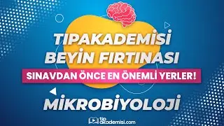 TIPAKADEMİSİ BEYİN FIRTINASI - TUS Mikrobiyoloji (Sınavdan Önce En Önemli Yerler!)