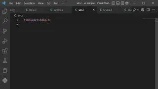 INFINITE LOOP IN C