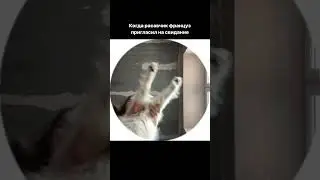 Теперь учу французский получается  🇫🇷🤍 