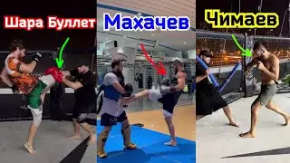 Финальные Тренировки Участников UFC 294 в Абу - Даби ! Чимаев|Махачев|Шара Буллет|Алискеров !