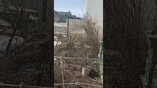 31 марта дачный сезон открыл. Московская область