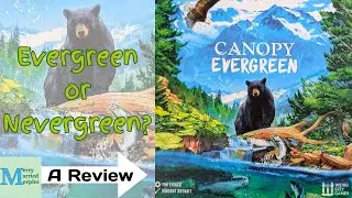 Canopy Evergreen Review - Evergreen or Nevergreen?