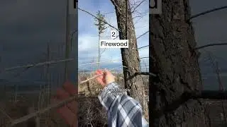 How to build a winter campfire. 3 things that help me the most: Ignition, firewood and the fire pit