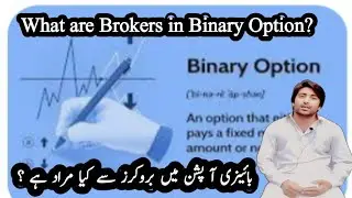 What are Brokers in Binary Option//Pocket option Brokers//Quotex option Brokers//Olympic Trade