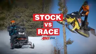 Stock Vs. Race Sleds - What's the difference?
