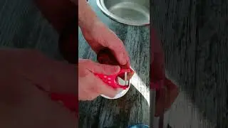 Как заточить овощерезку своими руками
