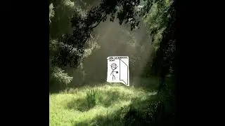 deep the forest