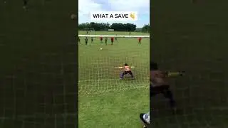 The little man is an elite goal keeper 👏 (via @hello_jr05) 