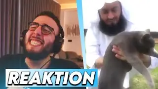 DAS LUSTIGSTE VIDEO ÜBER KATZEN JEMALS 😂💀