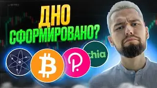 ПОЧЕМУ АЛЬТКОИНЫ ТАК СИЛЬНО ПАДАЮТ И ГДЕ ДНО? ОБЗОР BTC, DOT, ATOM, XCH, SUI, STRK, FLOW, SCA, VEGA!