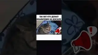 Кто объявляет прибытие поездов 