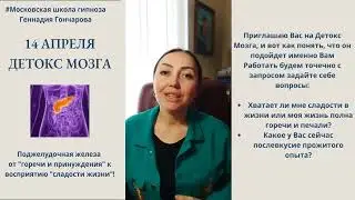 Анжелика Джонгер. Кратко о том, что такое Детокс мозга. Занятие 14 апреля. Ссылка в описании