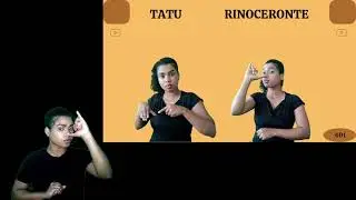 RINOCERONTE