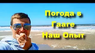 Погода в Гааге / Город Гаага / Что бросилось в глаза в первую очередь!
