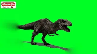 Dinosaurus Green Screen with Sound Effect || T-rex Roar || Free To Use