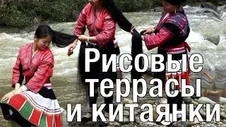КИТАЯНКИ С ДЛИННЫМИ ВОЛОСАМИ  И КАК РАСТЕТ РИС?