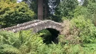 Dawyck Botanic Gardens