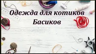 Приодела милых котиков от Басик и Ко.