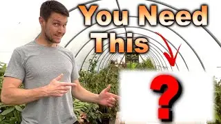 You Don't Need a Greenhouse | You Need THIS