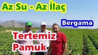 Az Sulayarak - Az İlaçlayarak Kaliteli - Verimli Pamuk Nasıl Yetiştirilir- Yaprak Gübresi  Gübreleme