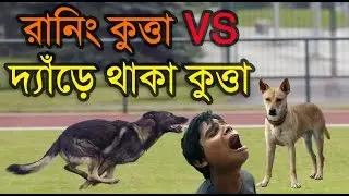 রানিং কুত্তা vs দাড়িয়ে থাকা কুত্তা