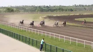 Приз 