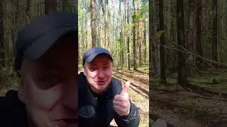 Открыл Грибной Сезон 2025🍄