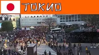 САМЫЙ ОЖИВЛЕННЫЙ ПЕРЕКРЕСТОК В МИРЕ
